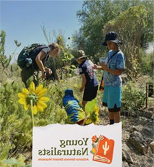 Kids looking for insects in the Pollinator Garden